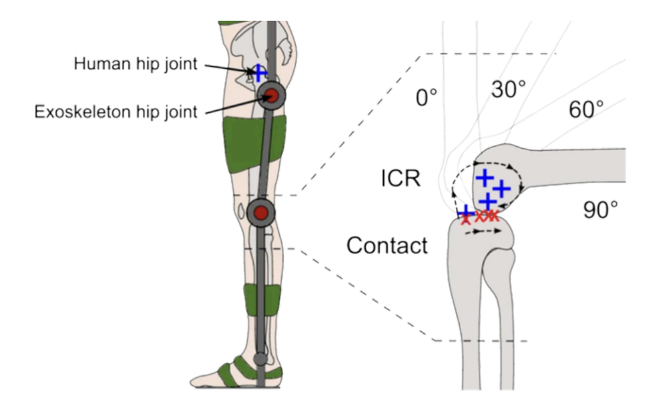 Rigid exoskeleton joint axes misaligned from the human hip and knee; inset shows the knee's J-shaped instantaneous center of rotation migrating from 0° to 90° flexion.