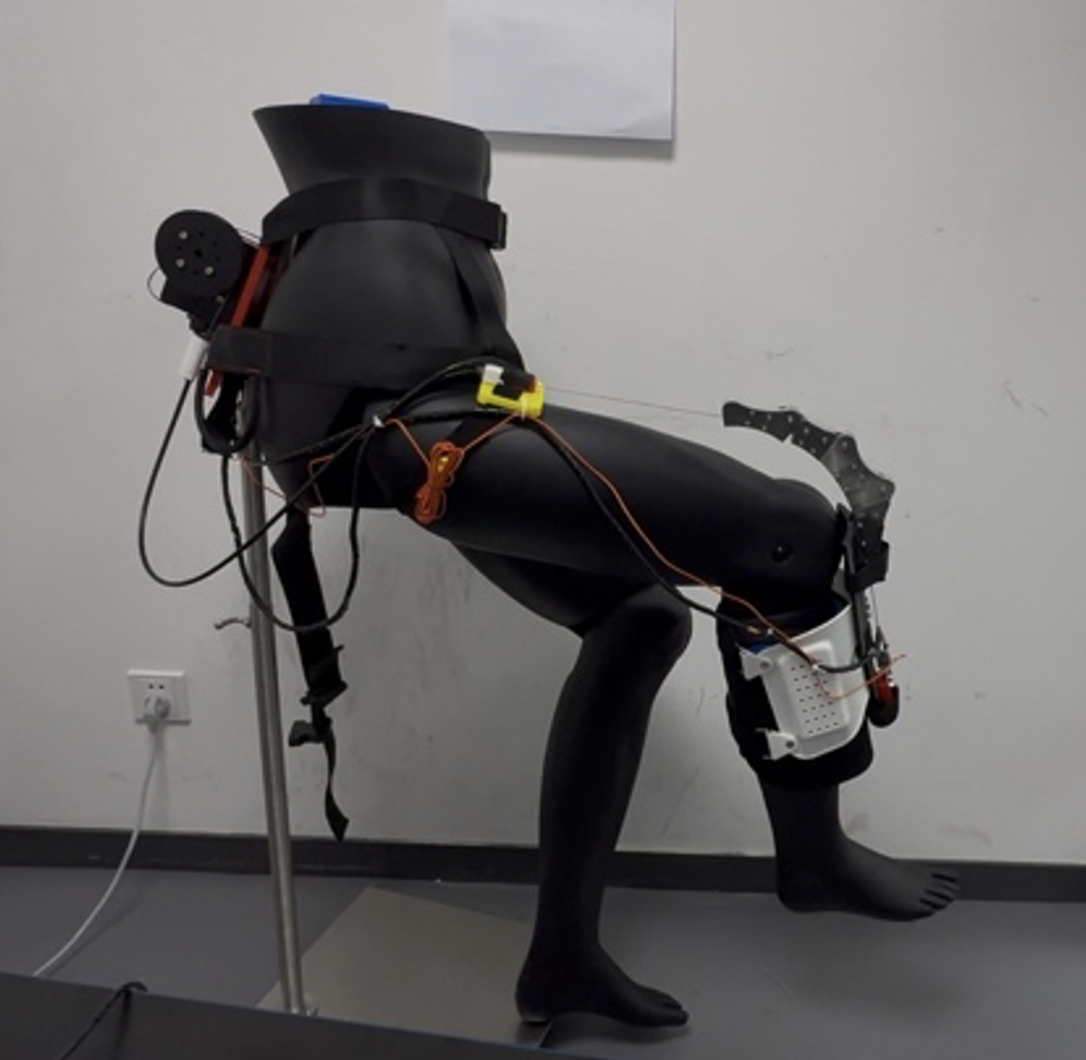 The Regenix prototype mounted on a life-size anthropomorphic mannequin, showing the hip-mounted actuator pack, the Dyneema cable routing, and the posterior chain running to the lateral knee cuff.